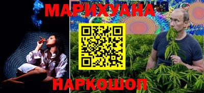 сатива Будённовск