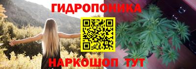 сатива Будённовск