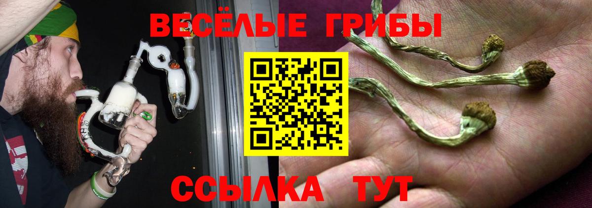 Благодарный  купить   Галлюциногенные грибы Psilocybine cubensis  Вход с VPN  Псилоцибиновые грибы мухоморы 